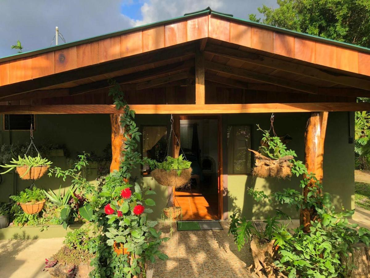 Casa Haydee Monteverde Dış mekan fotoğraf