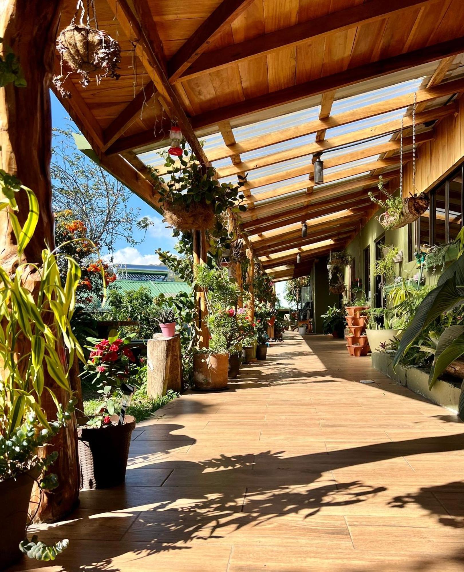 Casa Haydee Monteverde Dış mekan fotoğraf